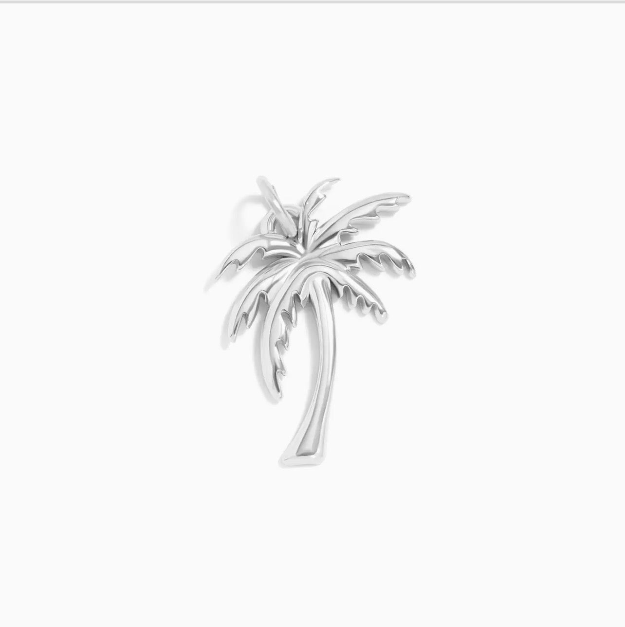 Carabiner Charms